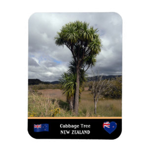 Neuseeland - Cabbage Tree, Reisen / Wildnis Magnet