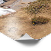 Neuseeland Castlepoint Lighthouse Fotodruck (Ecke)