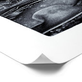 Neuseeland, Curio Bay & The Catlins Coast Poster (Ecke)