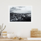 Neuseeland, Curio Bay & The Catlins Coast Poster (Küche)