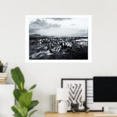 Neuseeland, Curio Bay & The Catlins Coast Poster (Heimbüro)