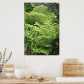 Neuseeland Fern Ponga Tree Poster (Küche)