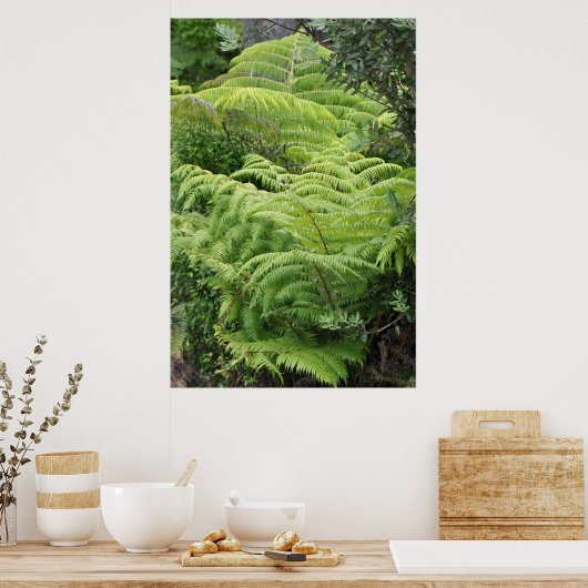 Neuseeland Fern Ponga Tree Poster (Küche)