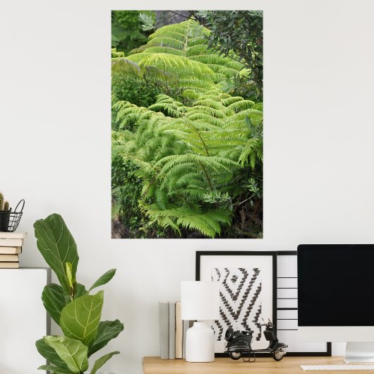 Neuseeland Fern Ponga Tree Poster (Heimbüro)