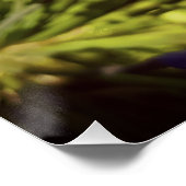 Neuseeland Floral Agapanthus Violet Blossom Poster (Ecke)