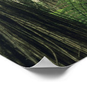 Neuseeland, Haast Valley, Westland, Weiche Bäume Poster (Ecke)