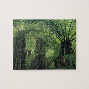 Neuseeland, Haast Valley, Westland, Weicher Baum Puzzle