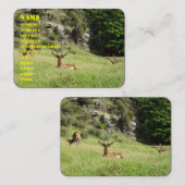 Neuseeland-Hirsche Visitenkarte (Vorne/Hinten)