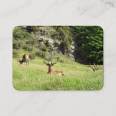 Neuseeland-Hirsche Visitenkarte (Rückseite)