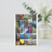 Neuseeland Kiwiana Naturszenen Postkarte (Stehend Vorderseite)