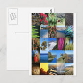 Neuseeland Kiwiana Naturszenen Postkarte (Vorne/Hinten)