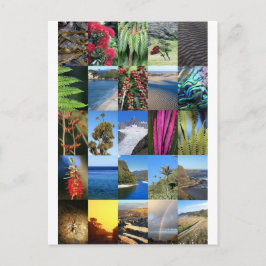Neuseeland Kiwiana Naturszenen Postkarte