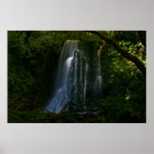 Neuseeland: Matai Falls Poster (Vorne)