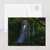 Neuseeland: Matai Falls Postkarte (Vorne/Hinten)