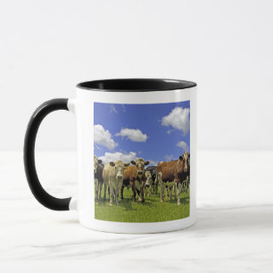 Neuseeland, Nordinsel, Auckland Tasse