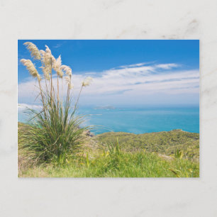 Neuseeland, Nordinsel, Cape Reinga Postkarte