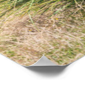 Neuseeland, Nordinsel, Kap Reinga 2 Poster (Ecke)