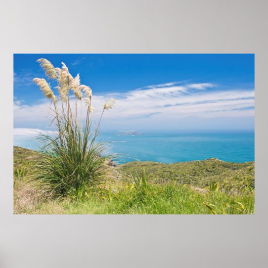 Neuseeland, Nordinsel, Kap Reinga 2 Poster (Vorne)
