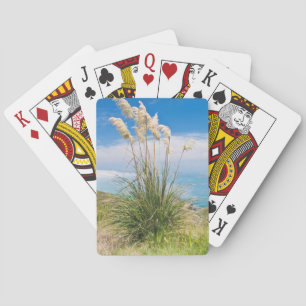 Neuseeland, Nordinsel, Kap Reinga Spielkarten