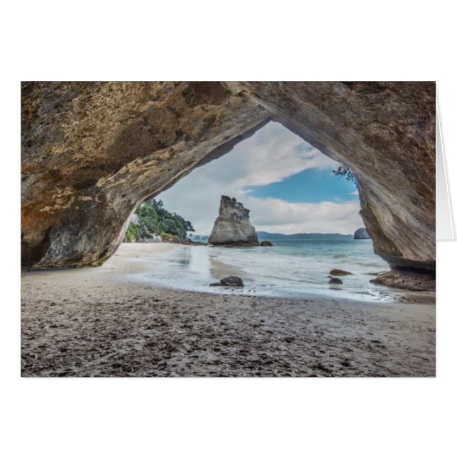 Neuseeland, North Island, Coromandel Halbinsel (Vorderseite (Horizontal))