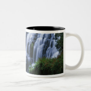 Neuseeland, North Island, Karangahake Gorge, Zweifarbige Tasse