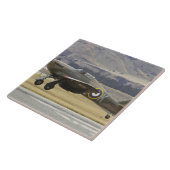 Neuseeland, Otago, Wanaka, Häfen über 6 Fliese (Seite)