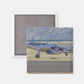 Neuseeland, Otago, Wanaka, Herden über 4 Magnet (Vorderseite/Rückseite)