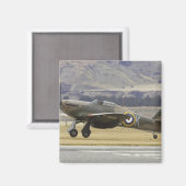 Neuseeland, Otago, Wanaka, Herden über 6 Magnet (Vorderseite/Rückseite)
