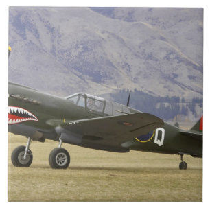 Neuseeland, Otago, Wanaka, Warbirds Over 5 Fliese