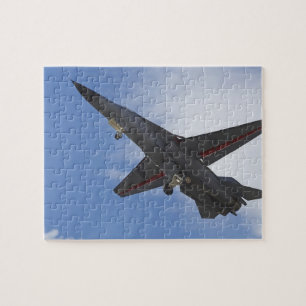Neuseeland, Otago, Wanaka, Warbirds Over Puzzle