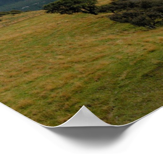 Neuseeland Panorama 2 Poster (Ecke)