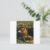 Neuseeland-Panzerkrebse Postkarte (Stehend Vorderseite)