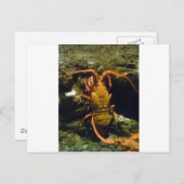 Neuseeland-Panzerkrebse Postkarte (Vorne/Hinten)