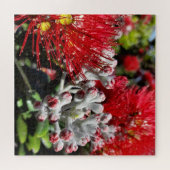 Neuseeland Pohutukawa Tree Red Blooming Blume Puzzle (Horizontal)