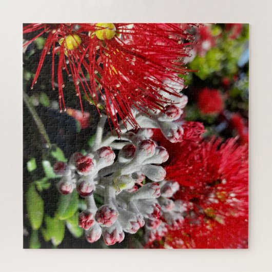 Neuseeland Pohutukawa Tree Red Blooming Blume Puzzle (Horizontal)