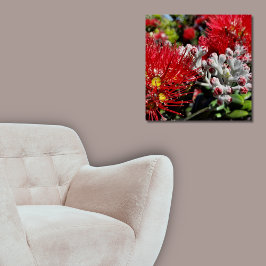 Neuseeland Pohutukawa Tree Red Blossom Poster