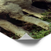 Neuseeland Poster (Ecke)