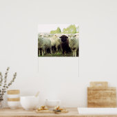 Neuseeland Poster (Küche)