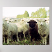 Neuseeland Poster (Vorne)