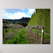 Neuseeland Posters Poster (Vorne)