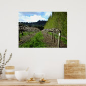 Neuseeland Posters Poster (Küche)