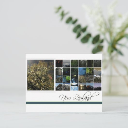 Neuseeland Postkarte (Stehend Vorderseite)
