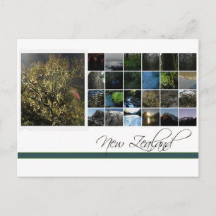 Neuseeland Postkarte