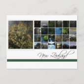Neuseeland Postkarte (Vorderseite)