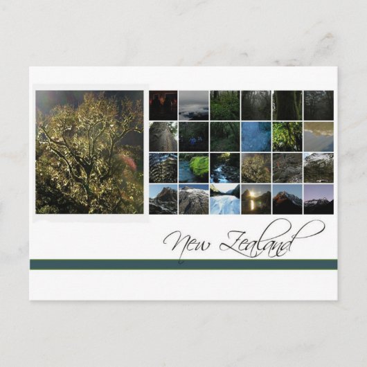 Neuseeland Postkarte (Vorderseite)