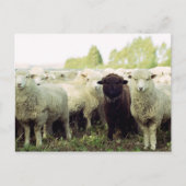 Neuseeland Postkarte (Vorderseite)