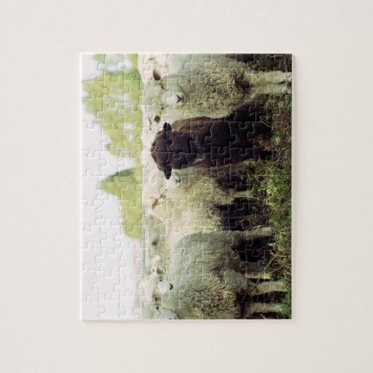 Neuseeland Puzzle (Vertikal)