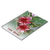 Neuseeland Rote Flora Feijos Blüten Notizblock (Linke Seite)