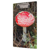 Neuseeland, Rotorua, Taupo Vulkanzone Klemmbrett (Links)