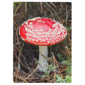 Neuseeland, Rotorua, Taupo Vulkanzone Klemmbrett (Rückseite)